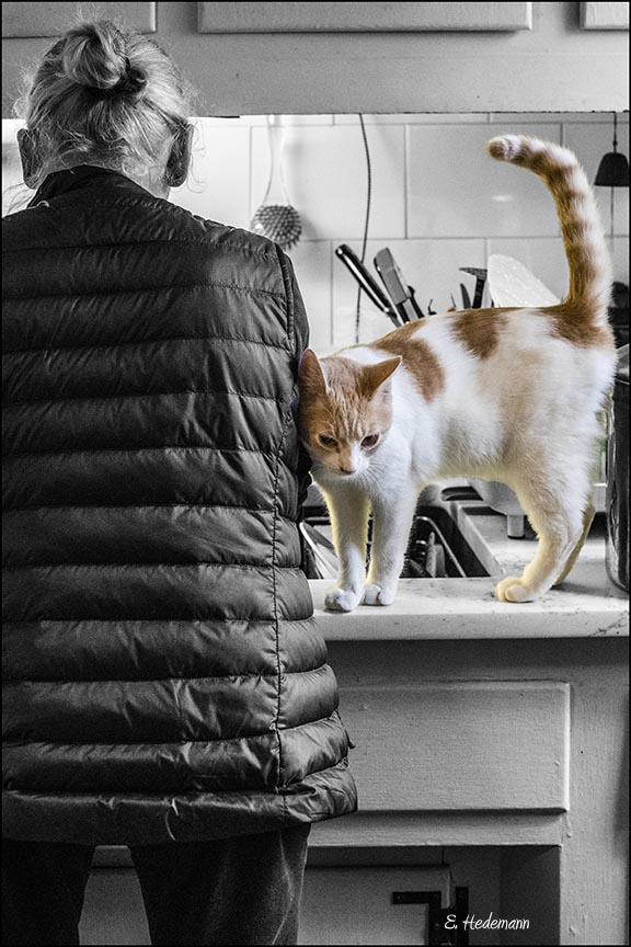 Popoki helping Ruth with dishes