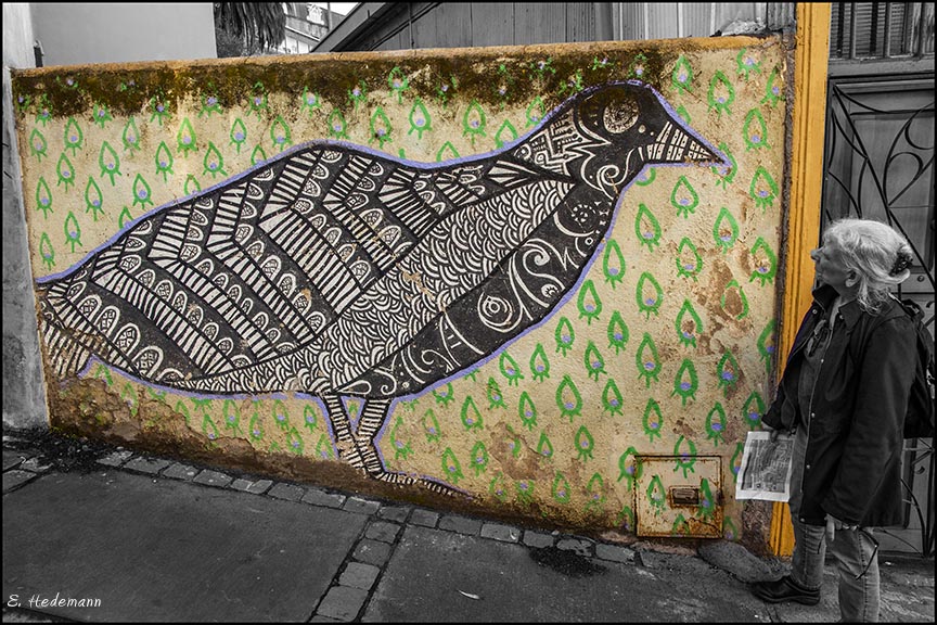 Ruth inspecting pheasant mural