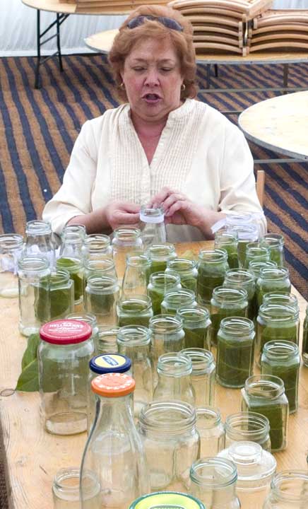 Sandi leafing the jars