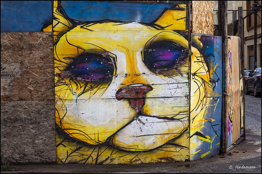 mural of a cat head